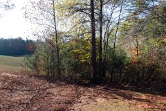 IMG_9520-Chewning_Farm_Site