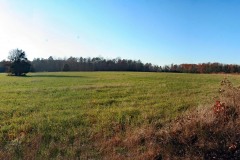 IMG_9525-Widow_Tapp_Farm