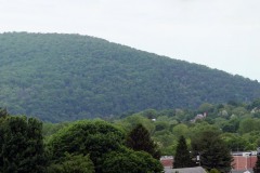 Stephen-Smith-IMG_0453