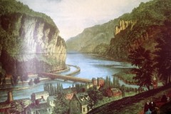 Stephen-Smith-IMG_4665