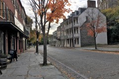 Stephen-Smith-IMG_4666