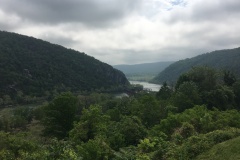 Stephen-Smith-IMG_6907