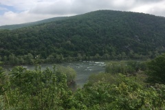 Stephen-Smith-IMG_6908