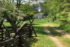 Stephen-Smith-IMG_6912