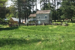 Stephen-Smith-IMG_6917