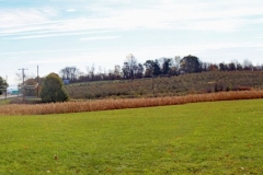 IMG_1003-Site-of-West-Fort-attack-on-June-14-reduced