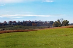 IMG_1004-Site-of-West-Fort-attack-on-June-14-with-farm-equipment-removed-reduced