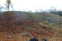 IMG_1011-Star-Fort-reduced