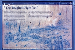 035.1-The-Toughest-Fight-Yet-Wayside